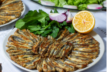 Fotoğraf 19