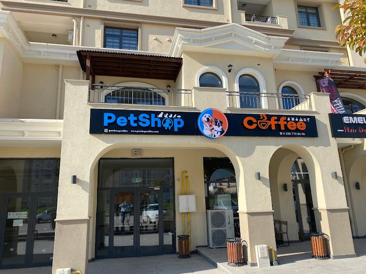 Fotoğraf 15