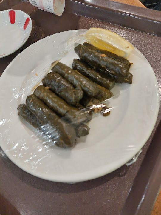 Fotoğraf 24