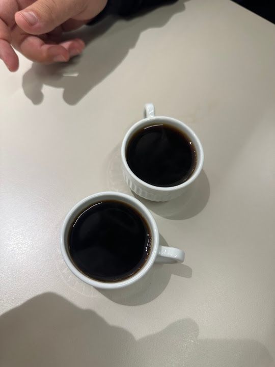 Fotoğraf 79