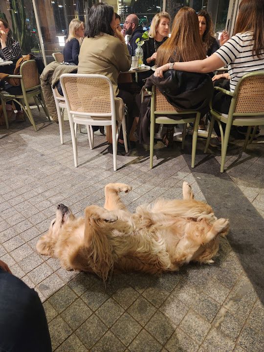 Yorum fotoğrafı 1