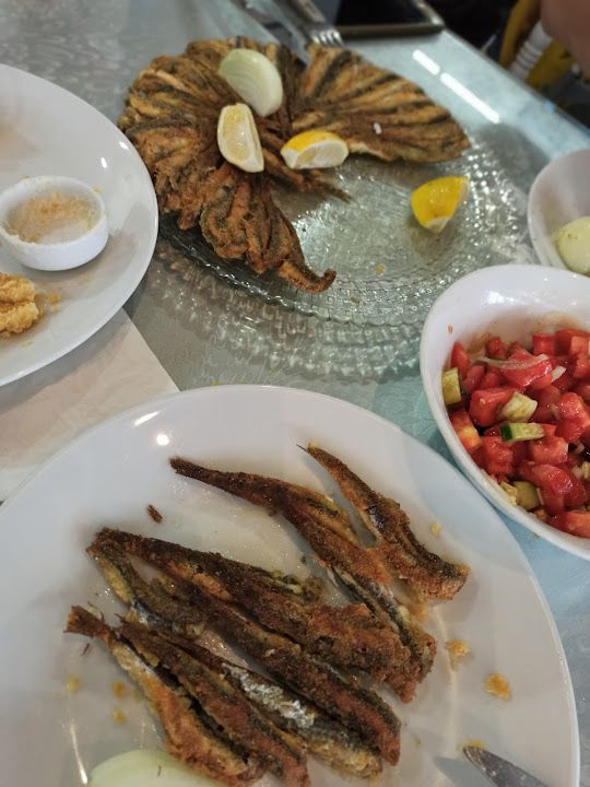 Fotoğraf 14