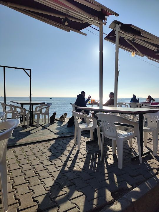Yorum fotoğrafı 2