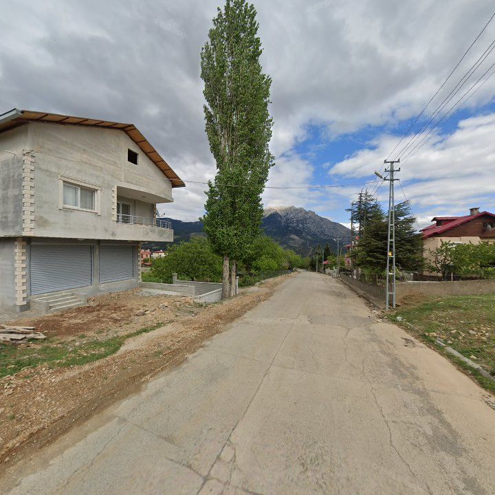 Fotoğraf 9