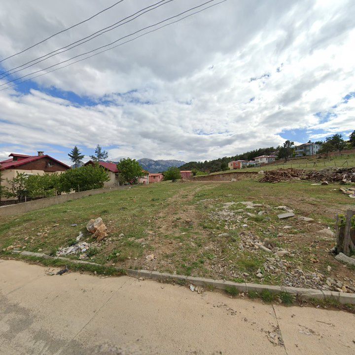 Fotoğraf 10