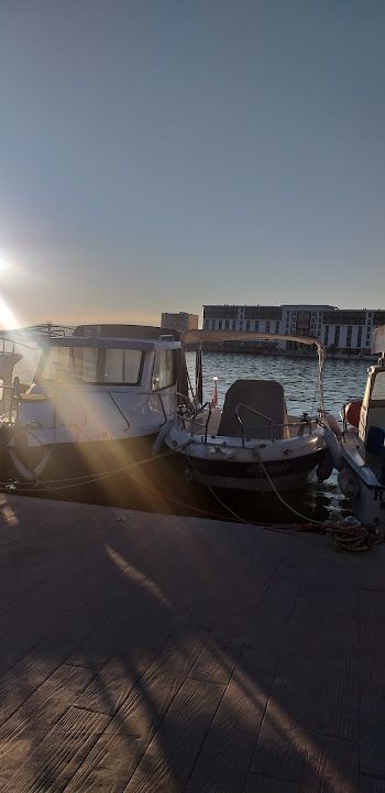 Fotoğraf 48