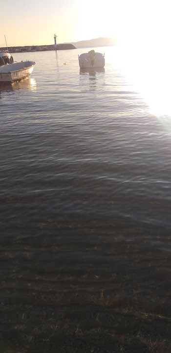 Fotoğraf 49