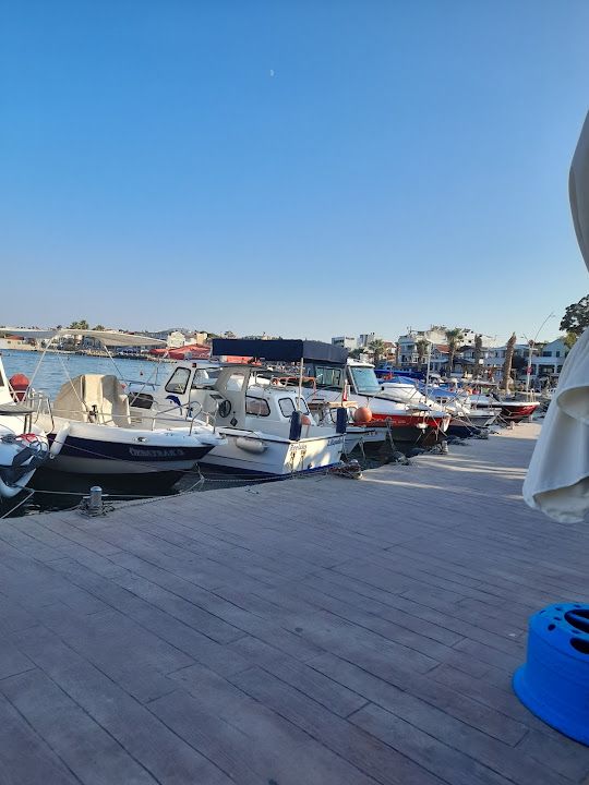 Fotoğraf 16