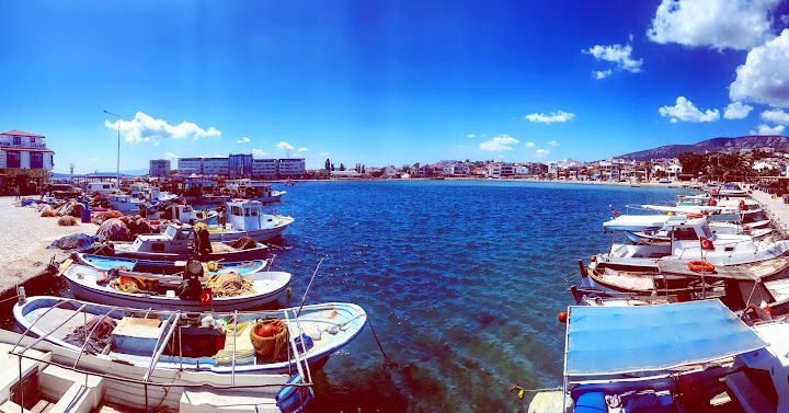 Fotoğraf 24