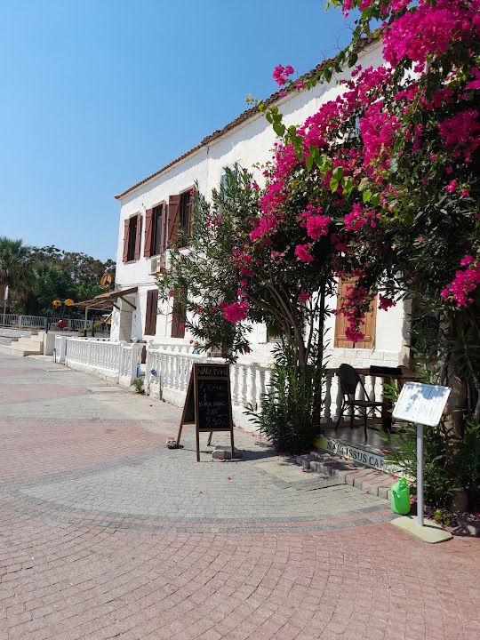 Fotoğraf 15