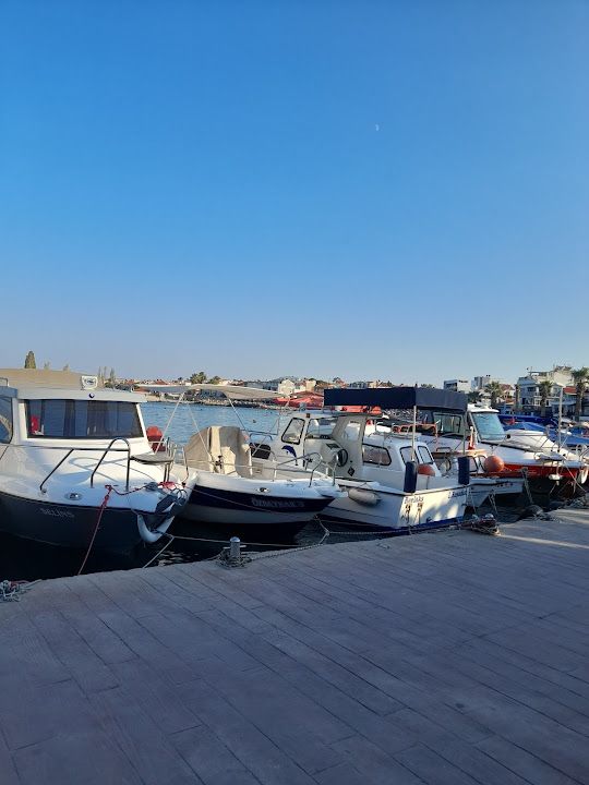 Fotoğraf 14