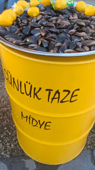 Fotoğraf 17