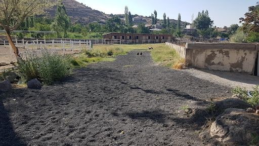 Yorum fotoğrafı 4