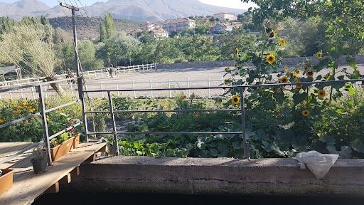 Yorum fotoğrafı 5