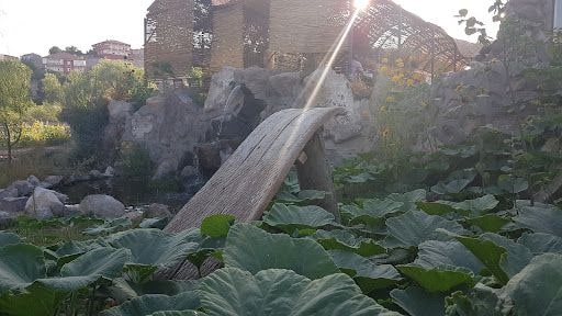 Yorum fotoğrafı 9