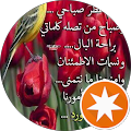 زياد محمد علي