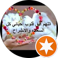 محمد عبجي
