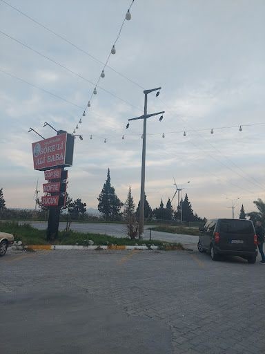Fotoğraf 37