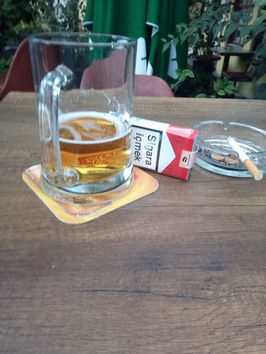 Fotoğraf 15