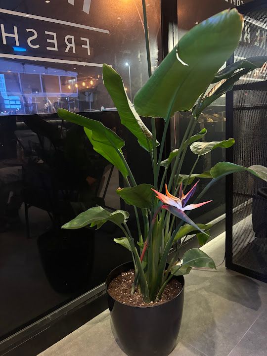 Yorum fotoğrafı 4