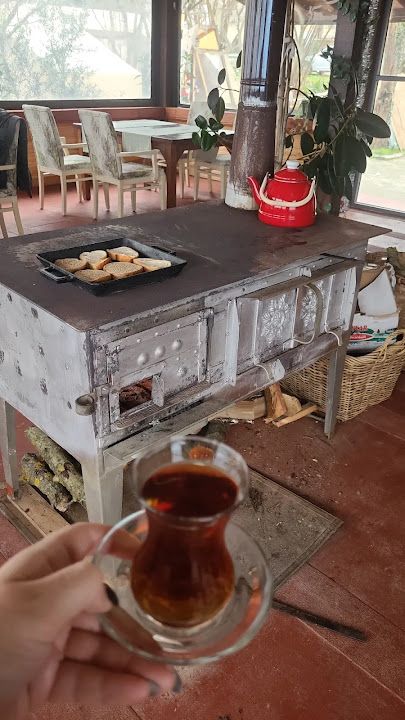 Fotoğraf 66