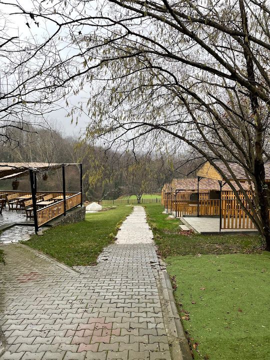 Fotoğraf 62