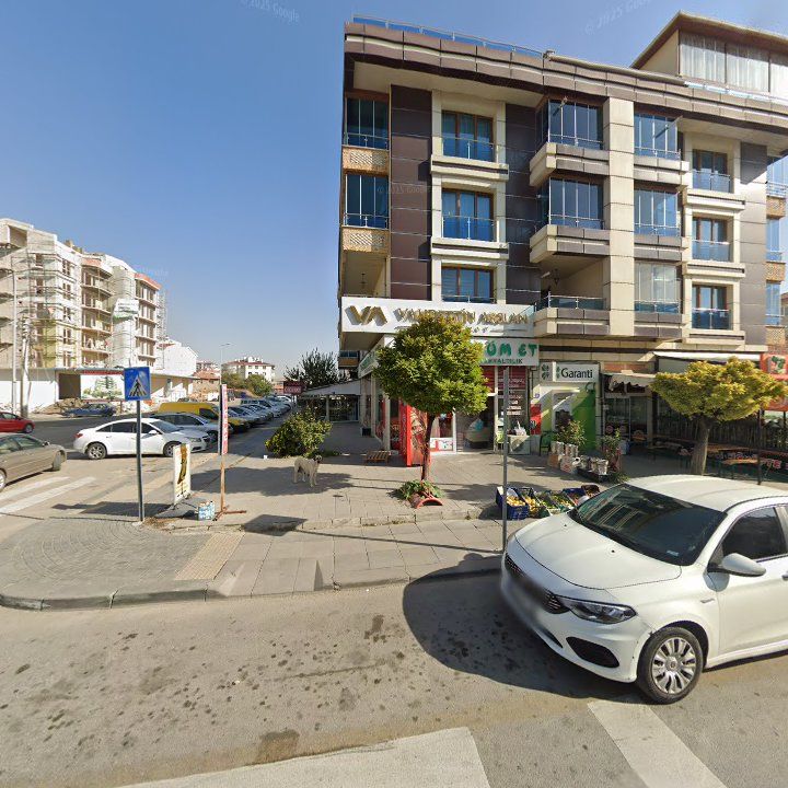 Fotoğraf 8
