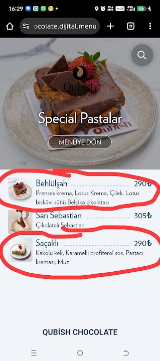 Fotoğraf 37