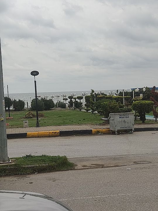 Yorum fotoğrafı 2