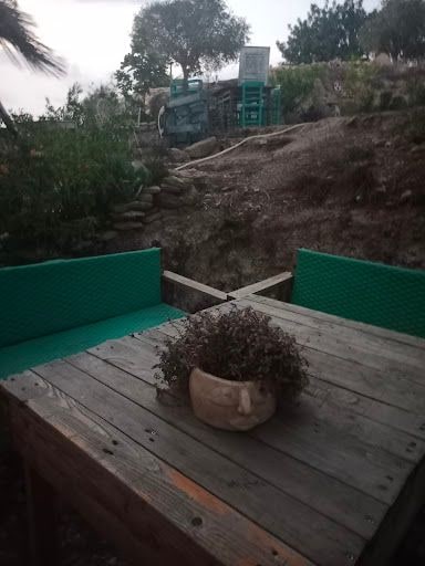 Yorum fotoğrafı 8
