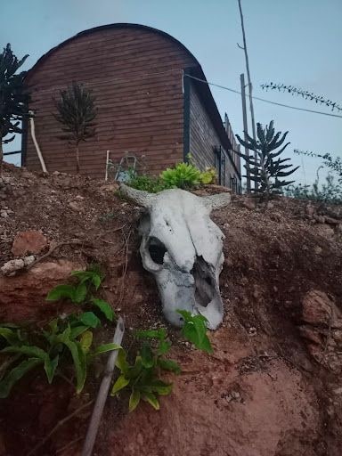 Yorum fotoğrafı 9