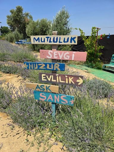 Yorum fotoğrafı 5