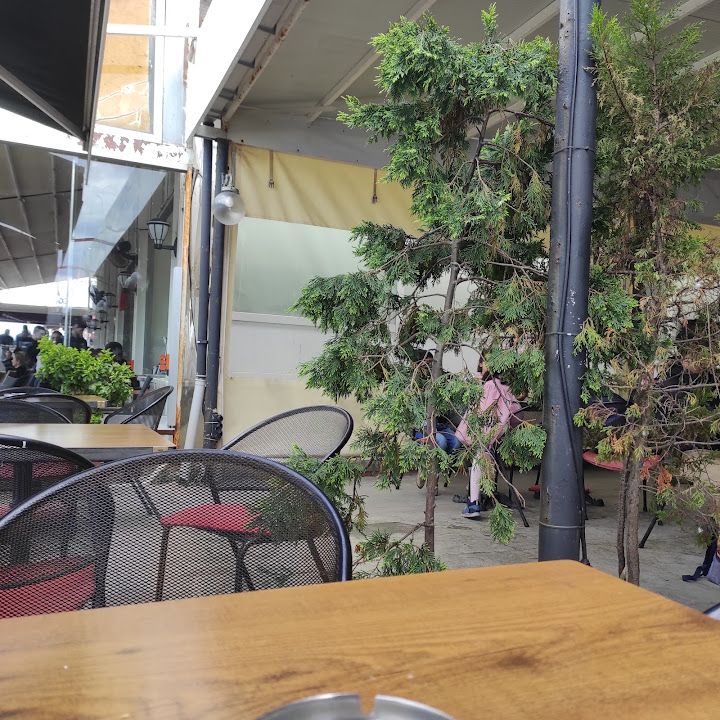 Fotoğraf 8