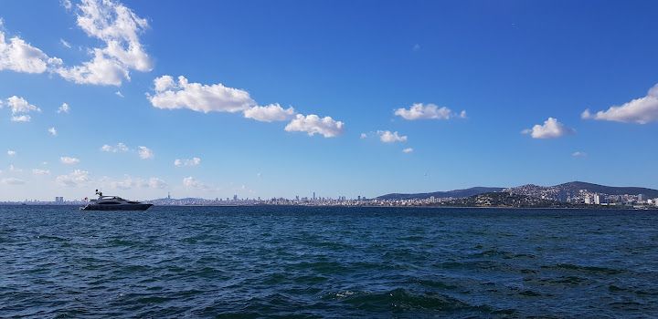 Fotoğraf 12