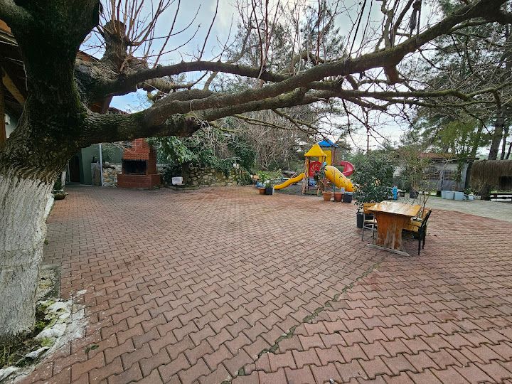 Fotoğraf 52