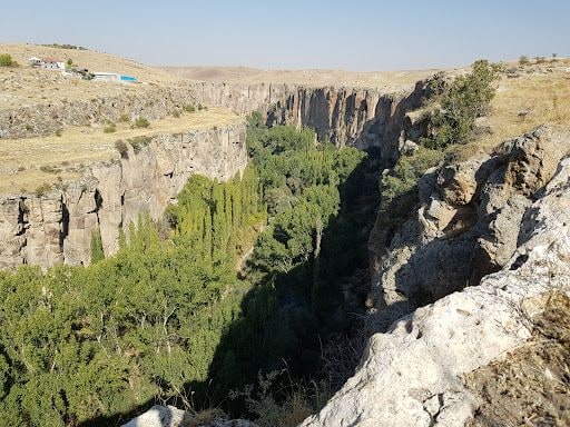 Yorum fotoğrafı 4