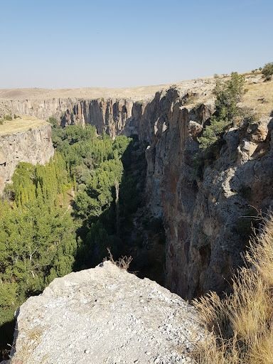 Yorum fotoğrafı 5