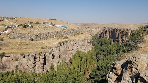 Yorum fotoğrafı 8