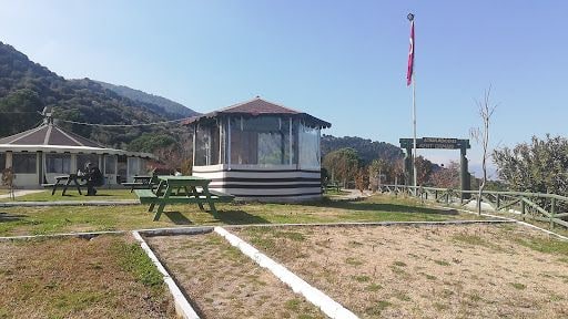 Fotoğraf 8