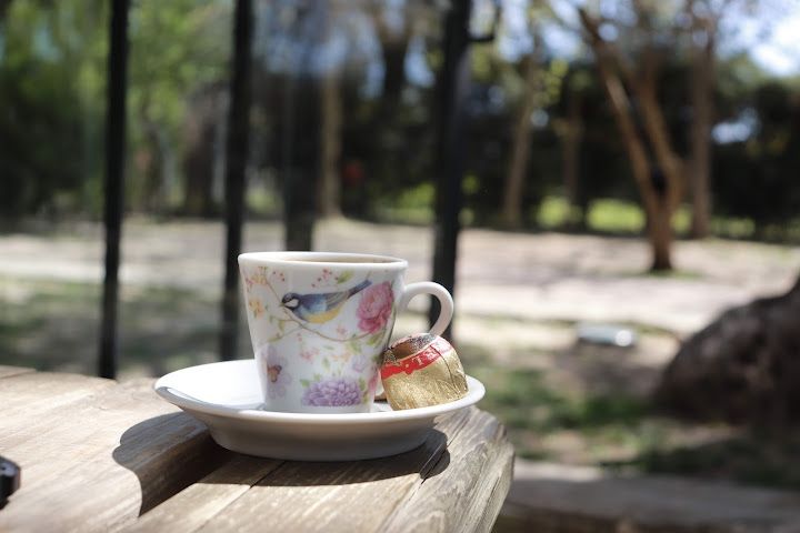 Fotoğraf 41