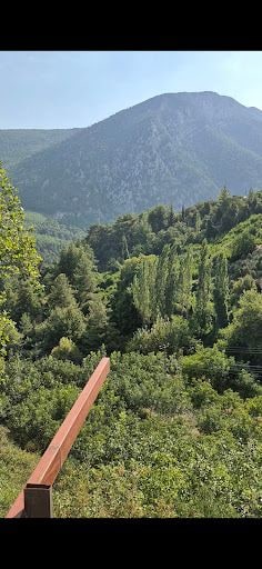 Yorum fotoğrafı 5