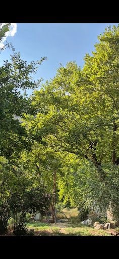 Yorum fotoğrafı 8
