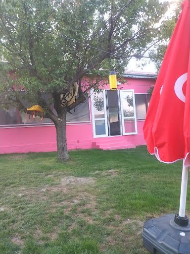 Yorum fotoğrafı 6