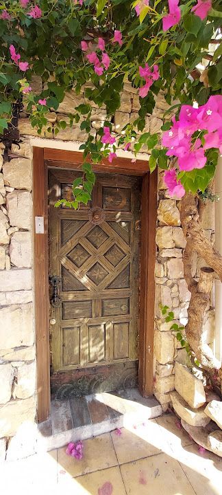 Fotoğraf 13