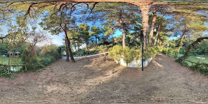 Fotoğraf 33