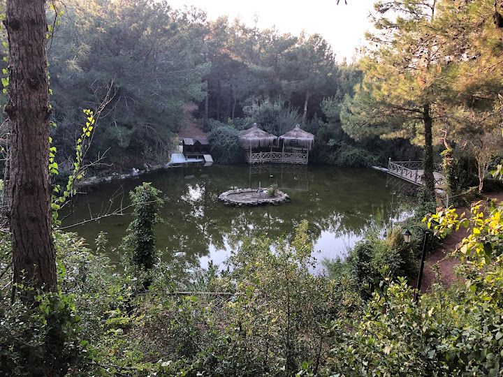 Yorum fotoğrafı 4