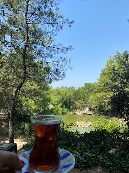 Yorum fotoğrafı 3