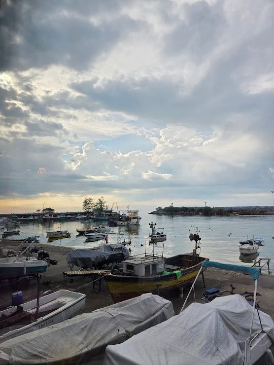 Fotoğraf 14