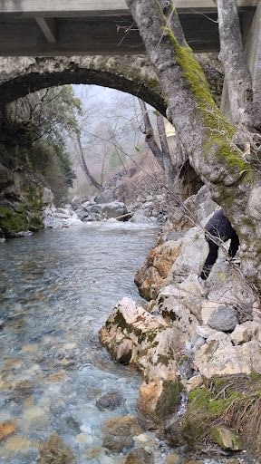 Yorum fotoğrafı 4