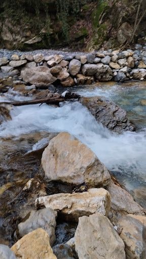 Yorum fotoğrafı 5